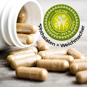 Đông Trùng Hạ Thảo Warnke Cordyceps Extrakt 500mg, 120 Viên Nang