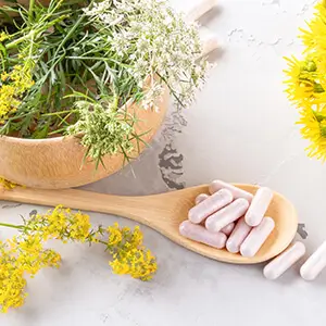 Đông Trùng Hạ Thảo Warnke Cordyceps Extrakt 500mg, 120 Viên Nang