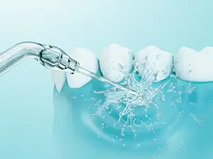 Máy tăm nước Panasonic EW1511 W