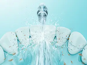 Máy tăm nước Panasonic EW1511 W